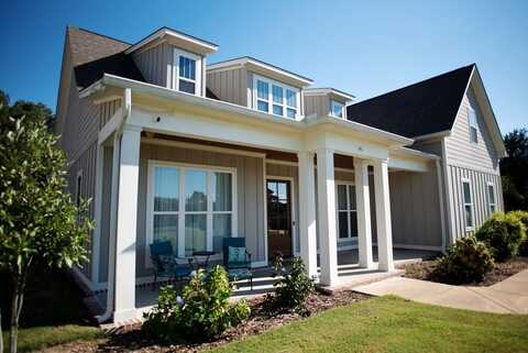 141 Downing Street, Oxford, MS 38655