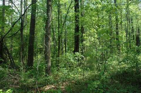 North Main, Water Valley, MS 38965