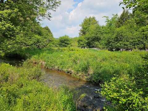 0 Bingham Center Road, Genesee, PA 16923