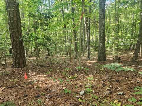 16 Hayden Court, Ellijay, GA 30540