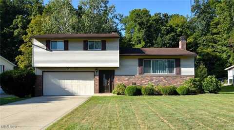 10098 Belmeadow Drive, Twinsburg, OH 44087