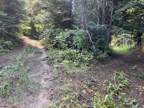 27XX RECORDS RD, ADDY, WA 99101