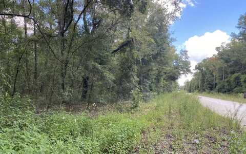 216TH TERR, OBrien, FL 32071