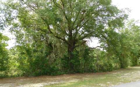 NW HALL OF FAME DR (18), Lake City, FL 32055