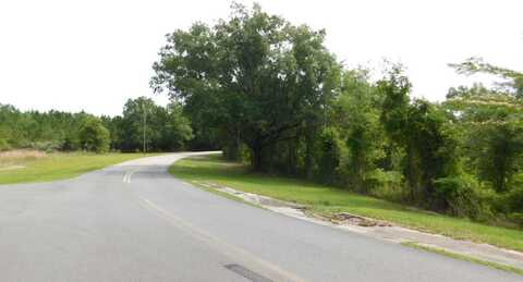 NW HALL OF FAME DR (19), Lake City, FL 32055