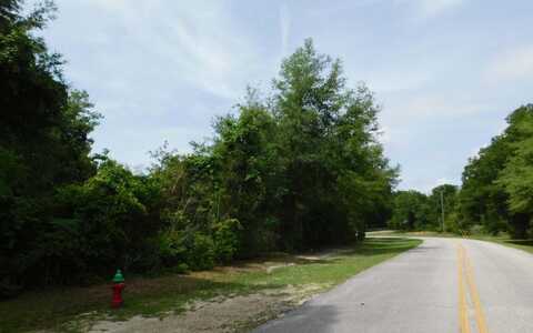 NW HALL OF FAME DR (20), Lake City, FL 32055