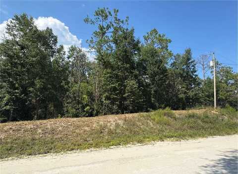 LOT43 SW KENTUCKY STREET, Fort White, FL 32038