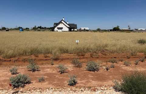 1007 SE 1620, Andrews, TX 79714