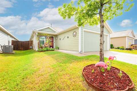 3217 Mountain Lion Avenue, McKinney, TX 75071