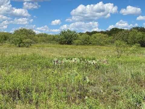 0000 County Road 334, Blanket, TX 76432