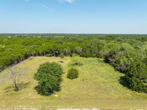 43034 Cedar Hill Drive, Whitney, TX 76692