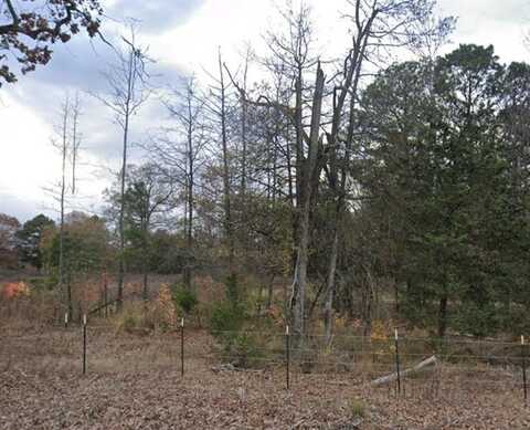 Tbd County Rd SE 4350, Scroggins, TX 75480
