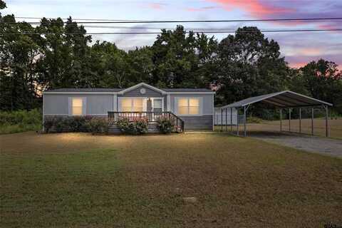 487 Wichita Street, Bullard, TX 75757