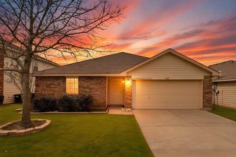 14109 Cochise Drive, Fort Worth, TX 76052