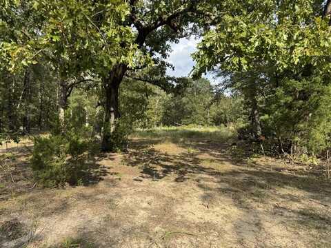 Tbd PR 45615, Blossom, TX 75416