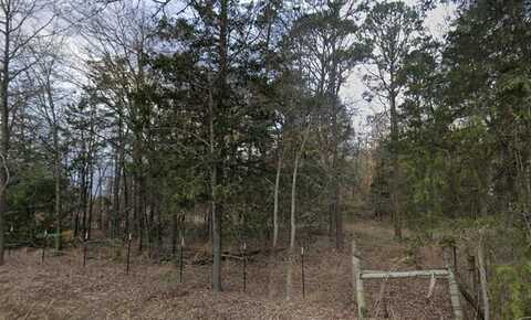 Tbd County Road SE 4350, Scroggins, TX 75480