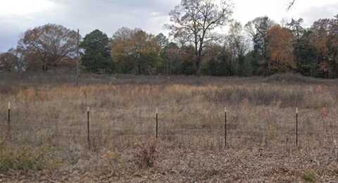 Tbd Co Rd SE 4350, Scroggins, TX 75480