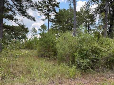0 Hwy 157, Benton, LA 71006
