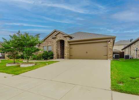 811 Rustic Meadows Trail, Princeton, TX 75407