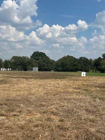 1813 County Road 415, Coyote Flats, TX 76031