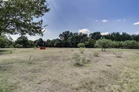1009 N Blue Quail Court, Granbury, TX 76049