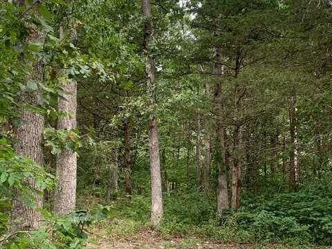 000 Cedar Grove Lane, Rolla, MO 65401