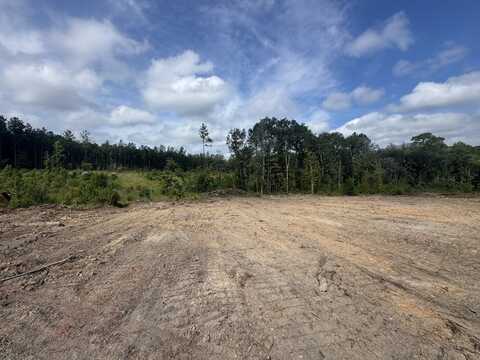 0 Celeste Road, Citronelle, AL 36522