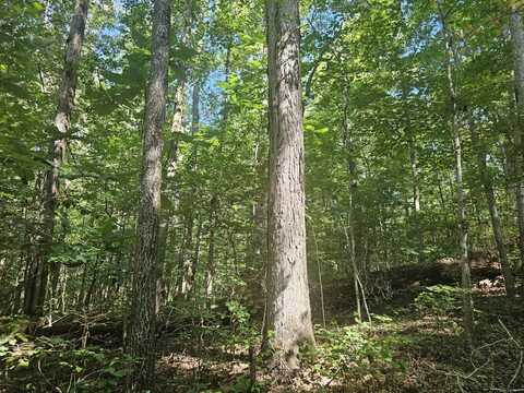 000 121b Mile Creek Road, Houston, AL 35572