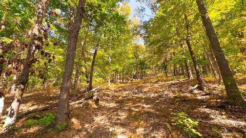 16932 State Route 335, Beaver, OH 45613