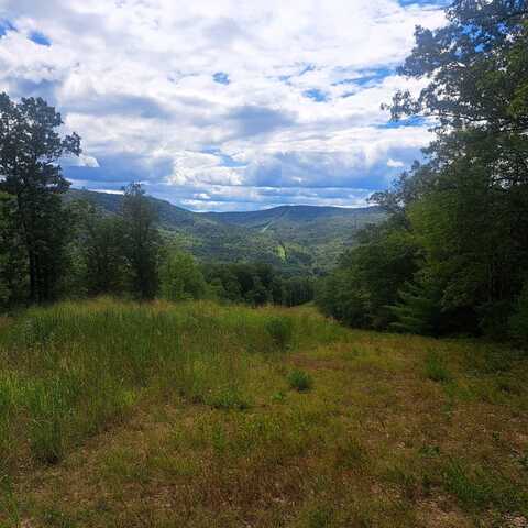297 Big Bridge Hollow Lane, Westfield, PA 16950