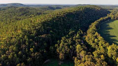 0 County Road 175, Piedmont, AL 36272