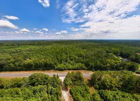 0 Frog Ridge Road, Buhl, AL 35446