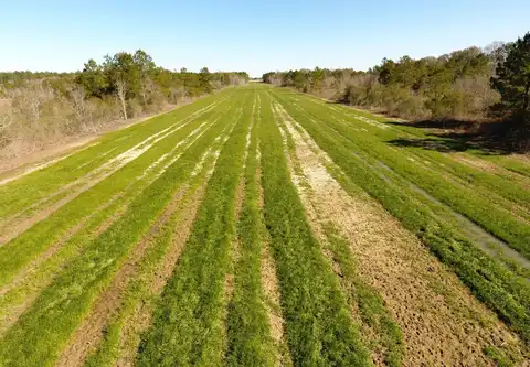 0 LA Hwy 383, Iowa, LA 70647