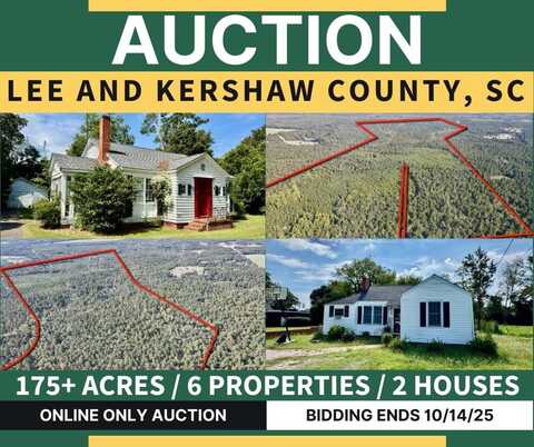 113 S Dennis Ave, Bishopville, SC 29010
