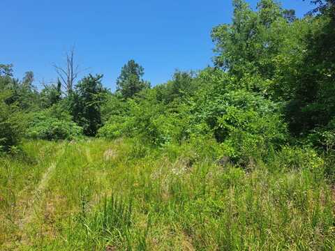 TBD Panola Mtn, Panola, OK 74599