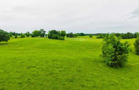 0 Cox Ferry Rd, Flora, MS 39071