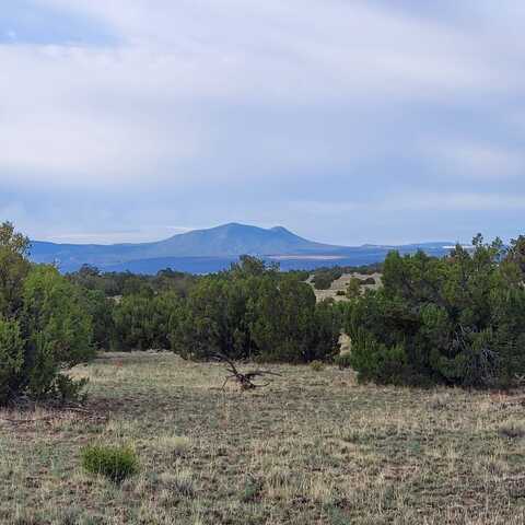 XX Indian Spring, Quemado, NM 87829