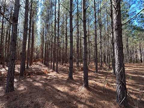 0 Keysville-Boggs Academy Road, Keysville, GA 30816