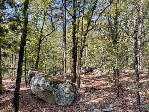 Lots 58-84 Highway 2, Antlers, OK 74523