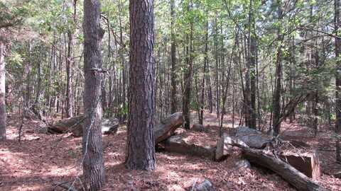 40 Antler Road, Antlers, OK 74523