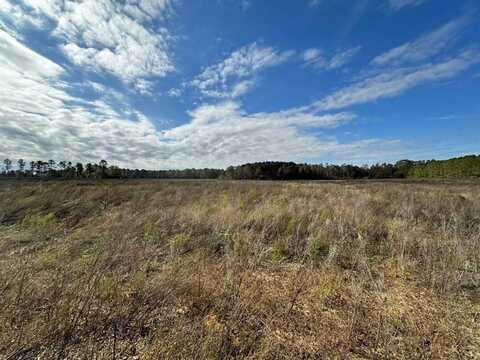 0 Gay Road, Keysville, GA 30816
