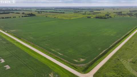 Land Auction Section 11-143-45, Twin Valley, MN 56584