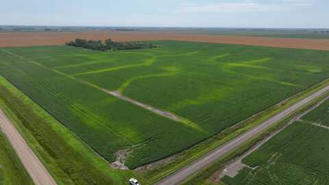Land Auction Section 12-145-47, Halstad, MN 56548