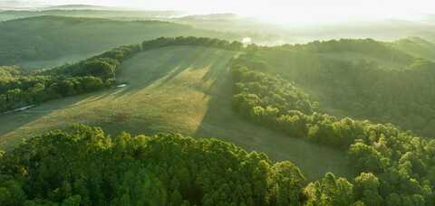 37286 County Road EE-270, Vanzant, MO 65768