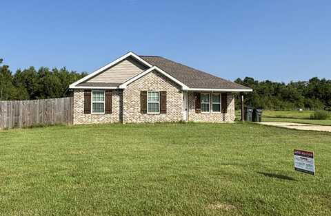8405 Mint Julep Dr, Perkinston, MS 39401