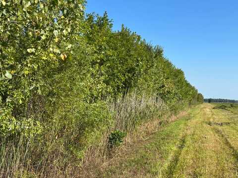 1 Highway 15, Fairfield, IL 62837
