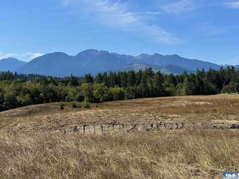 Parcel 11 Olympic Meadows, Port Angeles, WA 98362