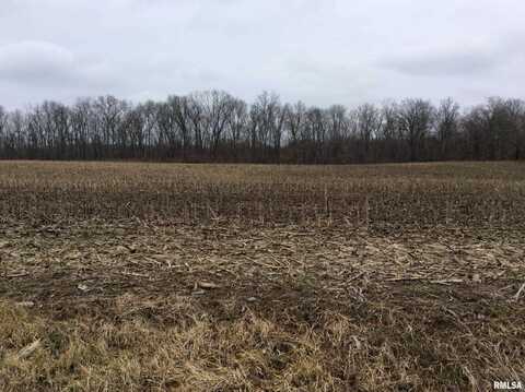 0000 N Kell Road, Kell, IL 62853