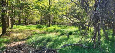 Parker Mews, Albrightsville, PA 18210