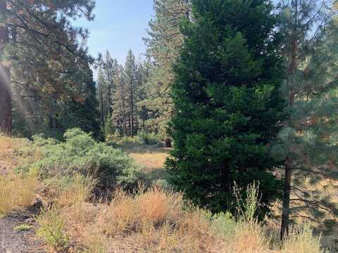 1629 Crocker Court, Portola, CA 96122